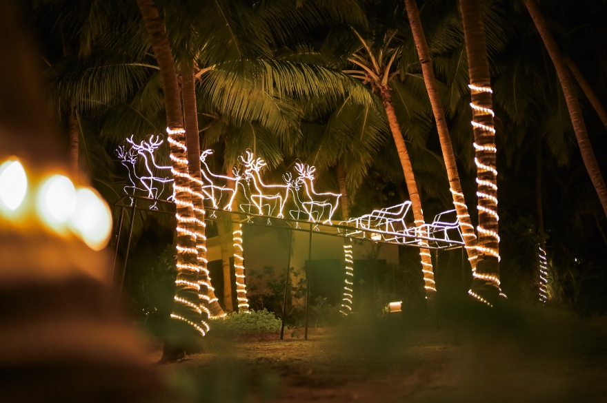 Around the World in Wonder: A Festive Journey at Amilla Maldives